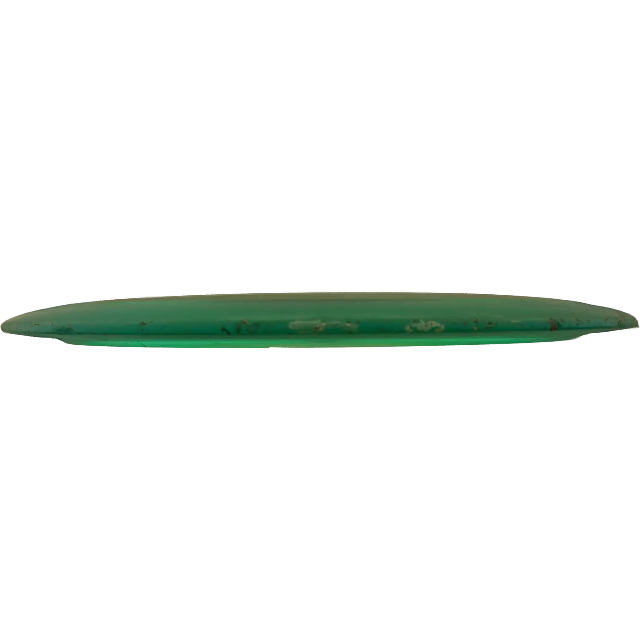 Champion Tern - First Run